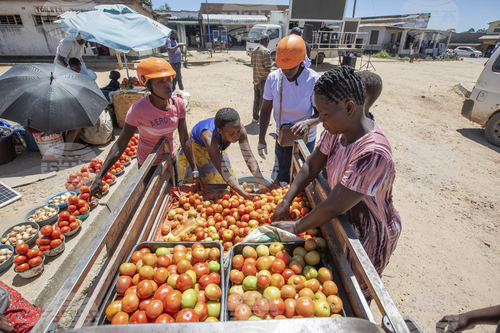 Zimbabwe Women Tricycles