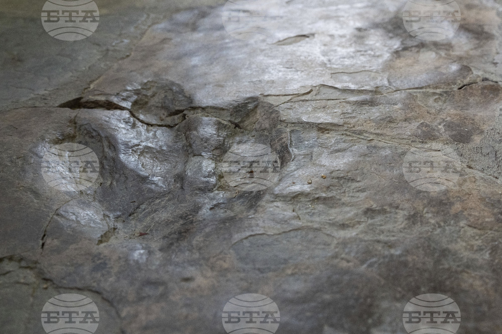 Доказателства за наличието на живот в земната мантия откриха учени в Северна Италия