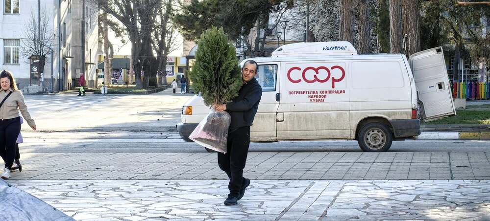 Община Кубрат: Нови дръвчета залеси потребителната кооперация в Кубрат