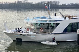 Видин - круизен кораб - туристи