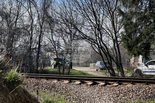 Бързият влак от Бургас до София е блъснал човек, инцидентът е настъпил около 8:30 часа, съобщиха от БДЖ