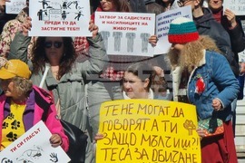 Варна - насилие над животни - протест