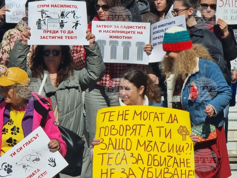 Варна - насилие над животни - протест