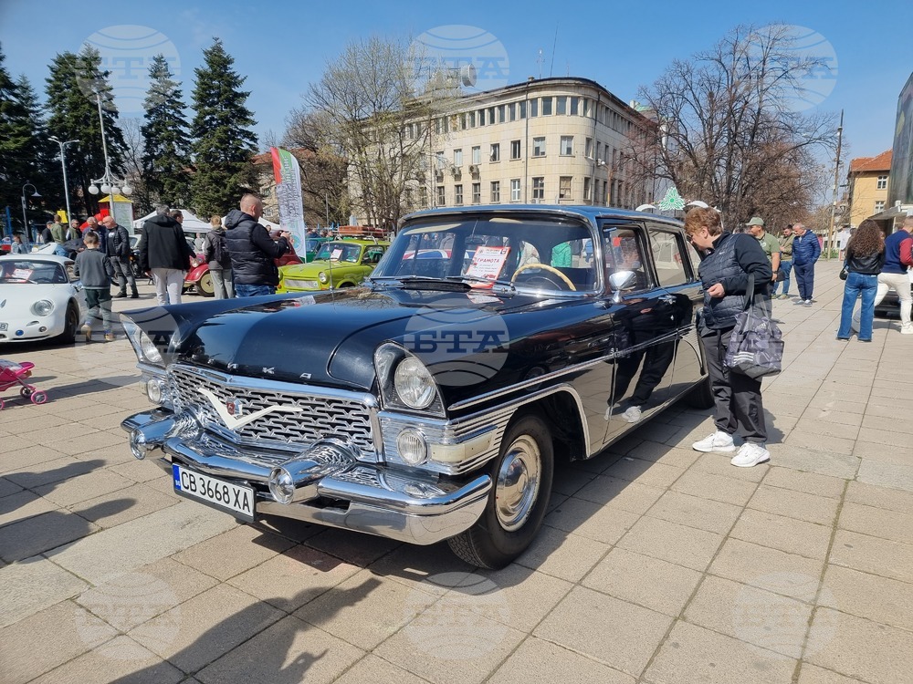 Изложение на ретро автомобили събира дарения за общински приют за кучета в Кюстендил