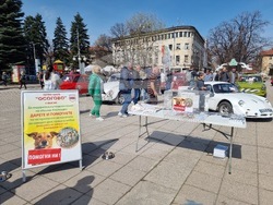 Кюстендил - изложение на ретро автомобили - благотворителна кауза