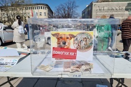 Кюстендил - изложение на ретро автомобили - благотворителна кауза
