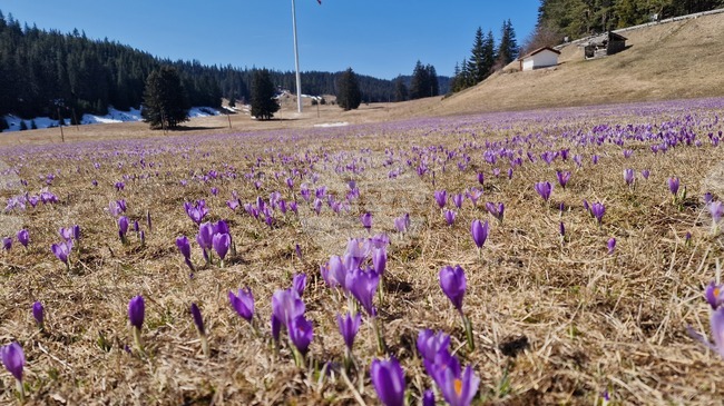 Прогноза за времето 