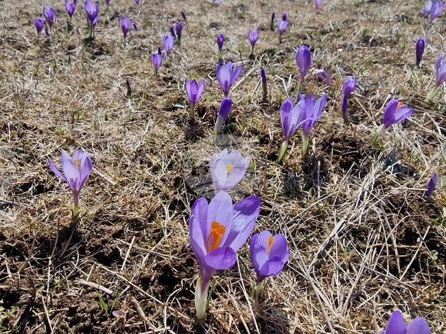 Прогноза за времето