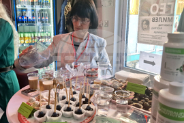 Разград - Ден на женското здраве и красота - форум