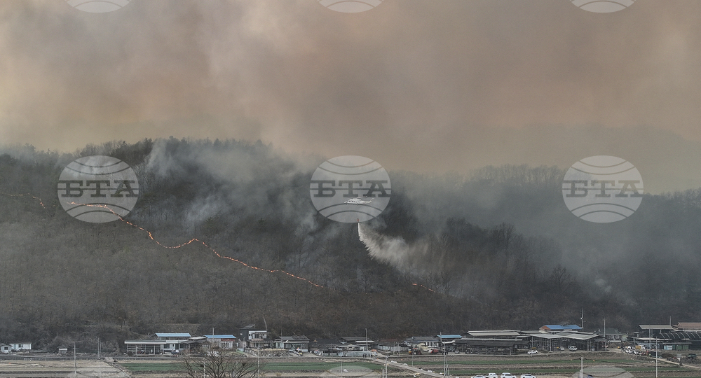 South Korea Wildfires