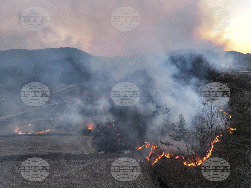 South Korea Wildfires