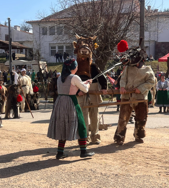 Кукерски състави от цялата "изгониха злото" в павелбанското село Турия