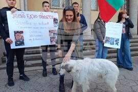 Хасково - протест срещу насилието над животни