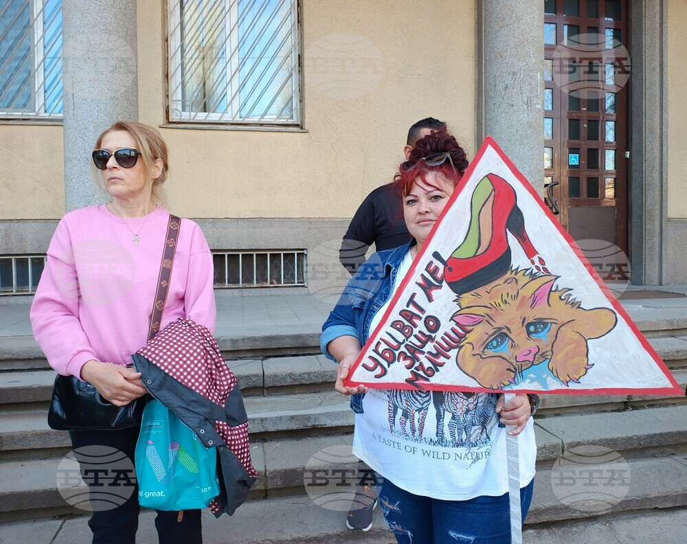 В Хасково протестиращи поискаха по-строги наказания за насилие над животни