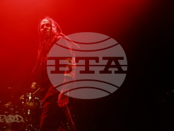 Концерт - P.O.D.