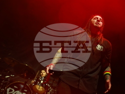 Концерт - P.O.D.