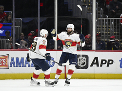 Panthers Capitals Hockey