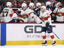 Panthers Capitals Hockey