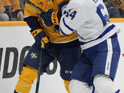 Maple Leafs Predators Hockey