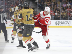 Red Wings Golden Knights Hockey