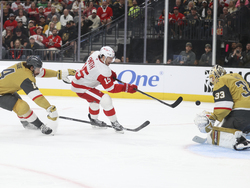 Red Wings Golden Knights Hockey