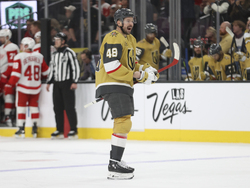 Red Wings Golden Knights Hockey