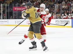 Red Wings Golden Knights Hockey