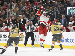 Red Wings Golden Knights Hockey