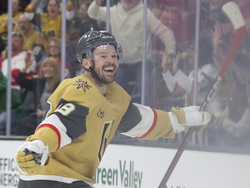 Red Wings Golden Knights Hockey