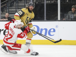 Red Wings Golden Knights Hockey