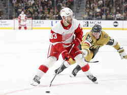 Red Wings Golden Knights Hockey