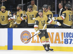 Red Wings Golden Knights Hockey