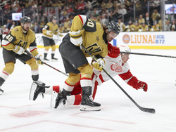 Red Wings Golden Knights Hockey