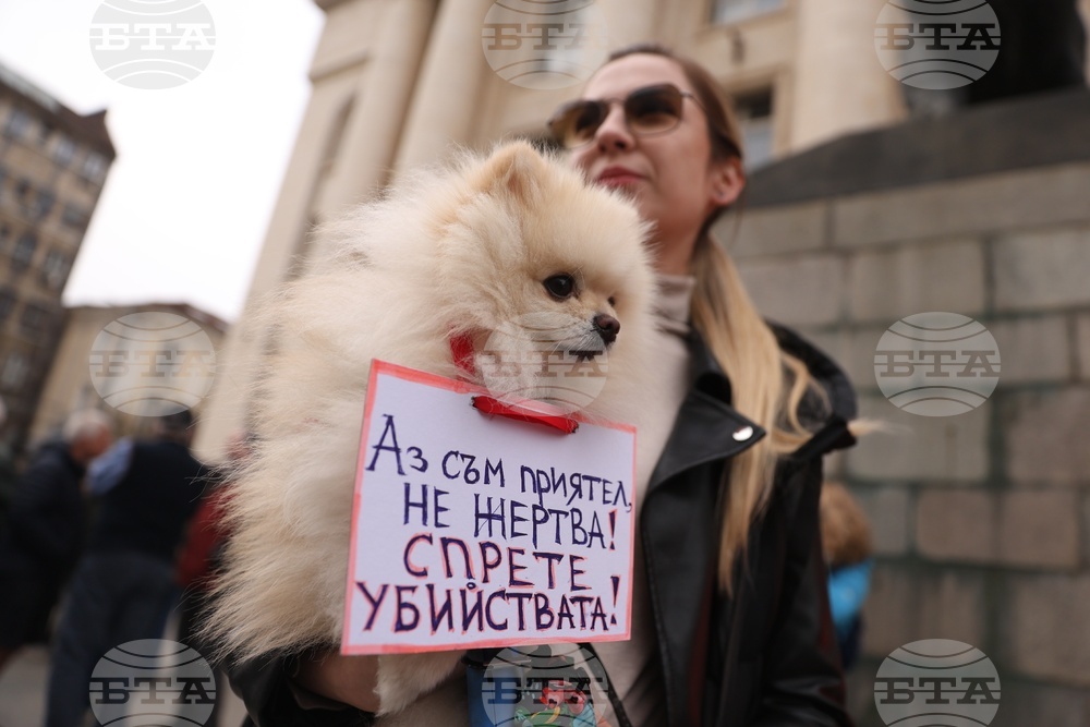 Protests against Animal Cruelty, Abuse Held in Sofia, Plovdiv and Other Cities