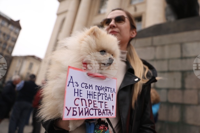 Protests against Animal Cruelty, Abuse Held in Sofia, Plovdiv and Other Cities 