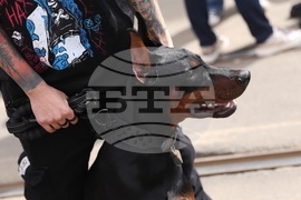 Протест - животни - защита