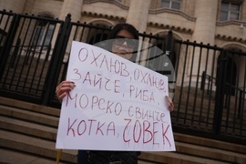 Протест - животни - защита