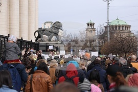 Протест - животни - защита