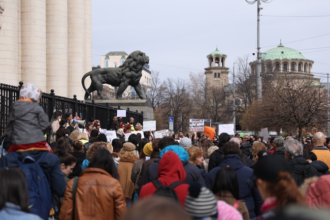 Протест срещу насилието над животни блокира пространството пред Съдебната палата в София