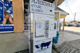 Село Слаковци - кравеферма - семеен бизнес