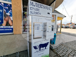 Село Слаковци - кравеферма - семеен бизнес