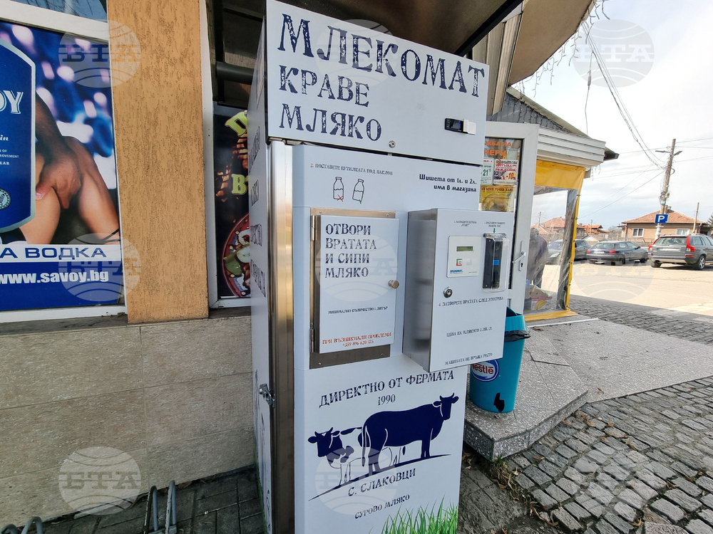 Село Слаковци - кравеферма - семеен бизнес