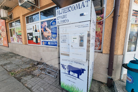 Село Слаковци - кравеферма - семеен бизнес