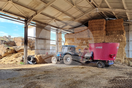 Село Слаковци - кравеферма - семеен бизнес