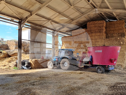 Село Слаковци - кравеферма - семеен бизнес