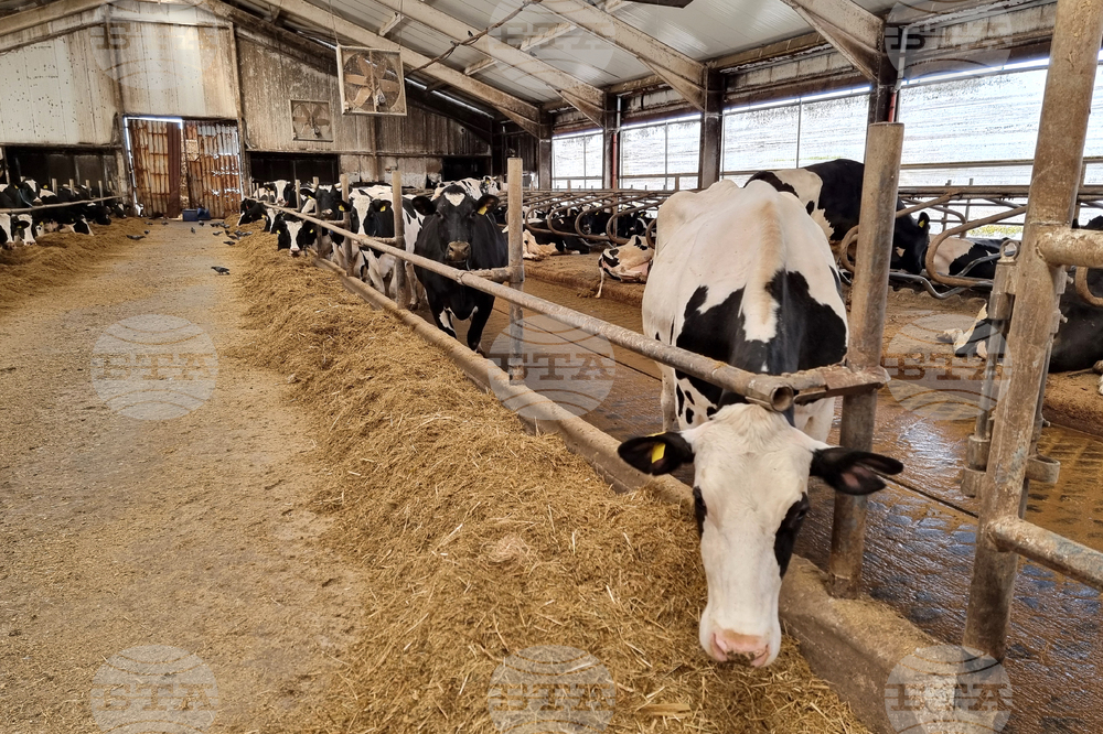 Българо-корейски земеделски бизнес форум ще представи ИТ решения за животновъдството на 26 септември в София