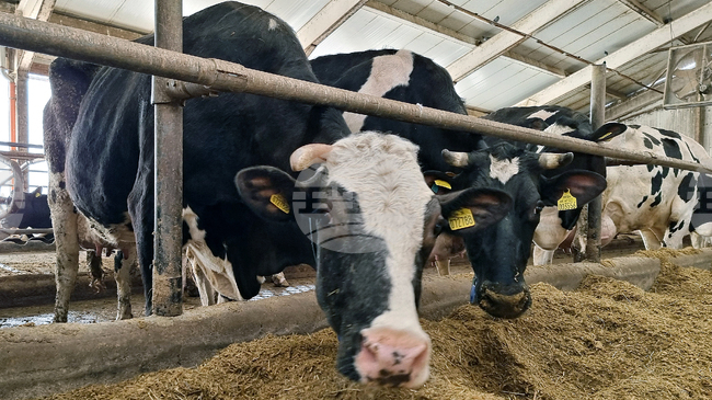 Organic Farms Increase by over 20% a Year