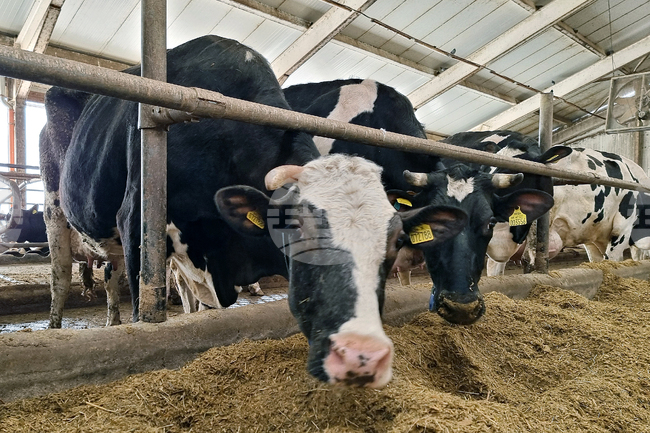 Organic Farms Increase by over 20% a Year