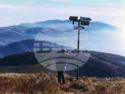 Петя Денева посвещава изложба на природата, светлината и тишината. Снимка: организатори