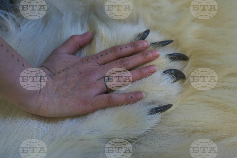 Greenland-Inuit Traditions-Revival